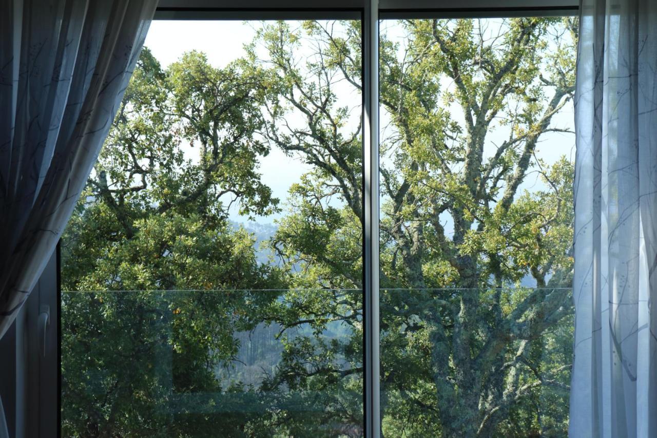 Vilafoia Monchique Dış mekan fotoğraf